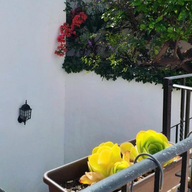 Casa Del Artista-can Roca Holiday home Alcudia (Mallorca)